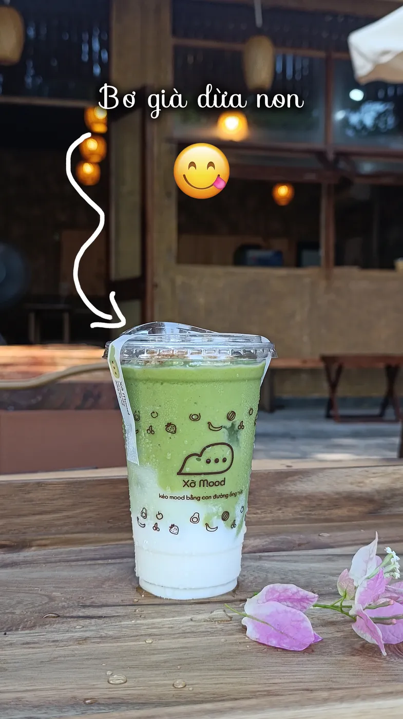 Bơ già dừa non